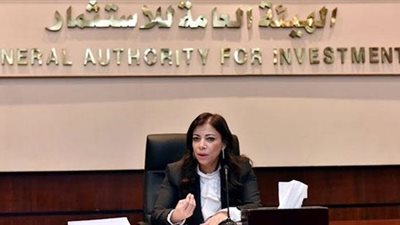 نائب عن السويس يتفق مع وزيرة الاستثمار على زيارة المصانع المتعثرة