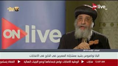 البابا تواضروس: «المشاركة في الانتخابات دفاع عن الوطن»
