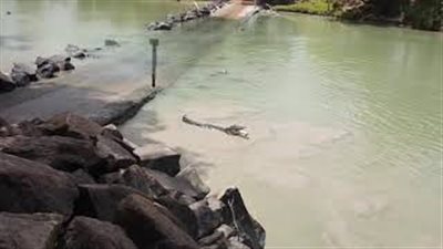 تمساح يسرق سمكة من صياد يشعل الإنترنت (فيديو)