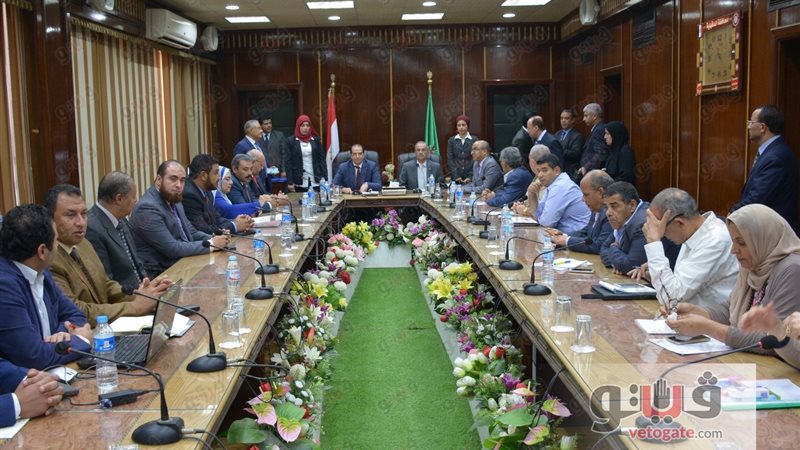 فيتو