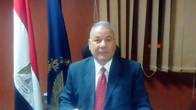 86 قاضيًا يشرفون على الانتخابات الرئاسية في الوادي الجديد