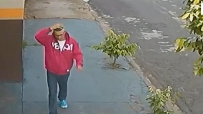 امرأة تخاطر بحياتها لمنع لص من سرقة حقيبتها (فيديو)