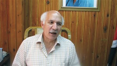 عبد العال: السيسي يسعى لاستعادة الدور الأفريقي بعد سنوات الإهمال