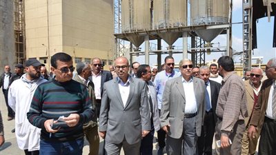 بالفيديو .. محافظ الإسماعيلية: 50 ألف طن إنتاج القمح هذا العام