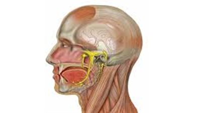 5 أسباب تؤدي إلى الإصابة بالتهابات العصب التاسع
