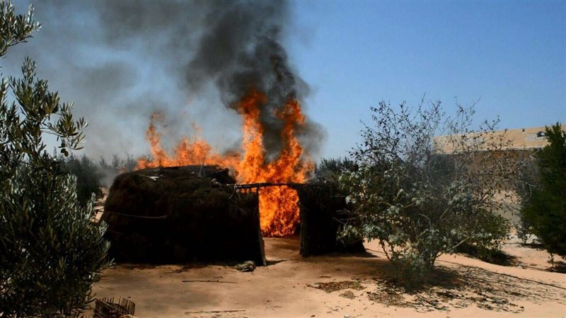 صورة أرشيفية