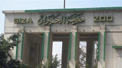 «الوزراء»: نقل حديقة الحيوان للعاصمة الإدارية شائعات