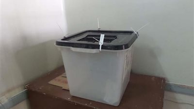 13 لجنة عامة و715 لجنة فرعية تستقبل الناخبين في المنيا