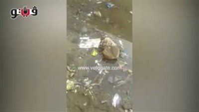 بالفيديو.. أولياء أمور يشكون سوء نظافة مجمع مدارس أبوبكر بشبرا