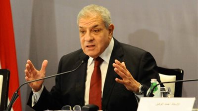 محلب ووزير التنمية يزوران الشيخ زويد