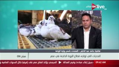 بالفيديو.. عبد الدايم: العلف سر نهضة الثروة الحيوانية.. وزراعة الذرة الحل