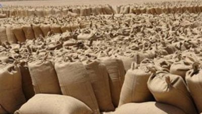 خبير: 750 جنيها السعر العادل لأردب القمح