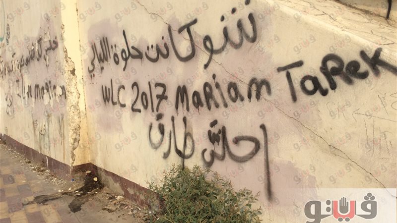 فيتو