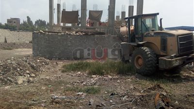 إزالة 6 حالات تعد على أراضي بسيون الزراعية بالغربية (صور)