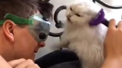 بالفيديو والصور.. قطة تجبر صاحبها على ارتداء نظارات لحماية نفسه