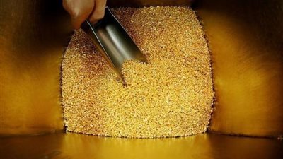 شحن ٣٨٥ كيلو ذهب خام من منجم السكري إلى كندا