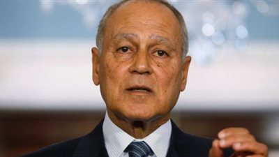 أبو الغيط يعرب عن انزعاجه إزاء التدخلات التركية والأجنبية في سوريا