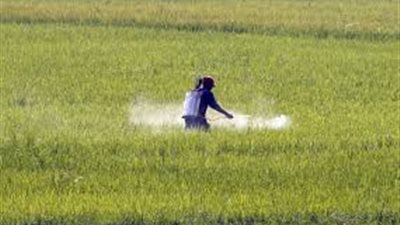 خطة «التصديري للكيماويات» لرفع صادرات القطاع