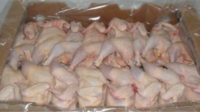 توزيع 300 كرتونة دواجن مجمدة على 5 مراكز في سوهاج