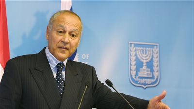 أبو الغيط يكلف الذوادي بتمثيله في مراسم تنصيب رئيس الصومال الفيدرالية