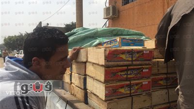 ضبط طنين لحوم غير صالحة للاستخدام الآدمي بشبرا الخيمة