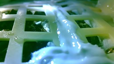 الصين تنجح في زراعة أول بذرة على سطح القمر