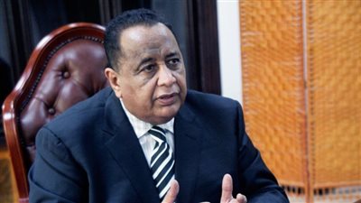الغندور: لا دوافع سياسية وراء حظر دخول المنتجات المصرية للسودان
