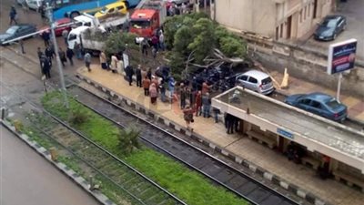 سقوط 3 شجرات بسبب شدة الرياح في الإسكندرية (صور)