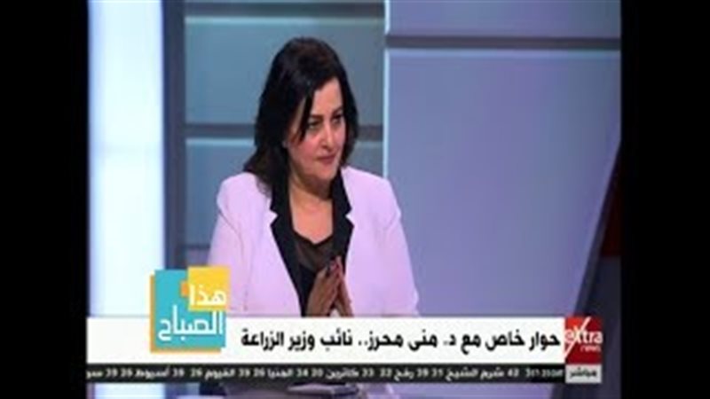 فيتو