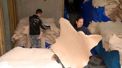 ننشر شروط الرقابة على الصادرات والواردات لـ«تصدير الجلود»