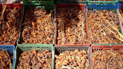 %127 زيادة في صادرات التمور خلال شهري يناير وفبراير 2018