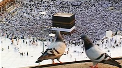 بالصور.. قصة «حمام مكة».. حارس الرسول وحامي الحرم