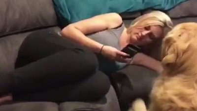 رد فعل صادم لكلب انشغلت صاحبته عنه في هاتفها المحمول (فيديو)