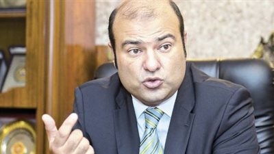 خالد حنفي: الاقتصاد حاليا موجه نحو الثورة الصناعية الرابعة ومتطلباتها