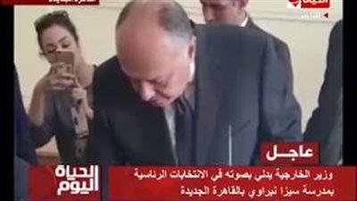 لحظة إدلاء وزير الخارجية بصوته في الانتخابات الرئاسية (فيديو)