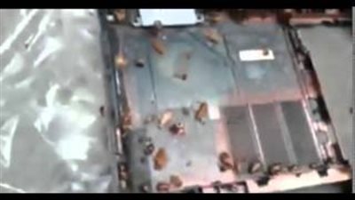 بالفيديو.. شاهد ماذا وجد شاب عند فتحه «لاب توب» لإصلاحه