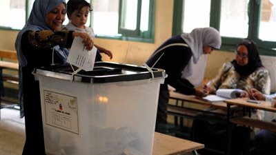 رئيس اللجنة العليا للانتخابات بالدقهلية: انتظام العملية الانتخابية