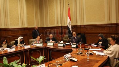«تضامن النواب» توافق على مواد إصدار قانون القومى للطفولة