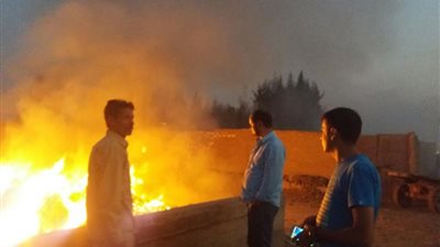 بيئة الدقهلية تعلن رصد 59 حالة حرق قش الأرز بالقمر الصناعي