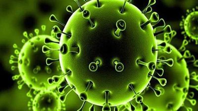 دراسة: فيتامين 