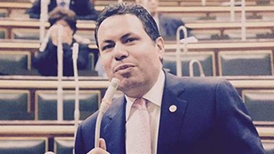 زراعة البرلمان: تعويض خسائر التعديات على الرقعة الزراعية ليس مستحيلًا