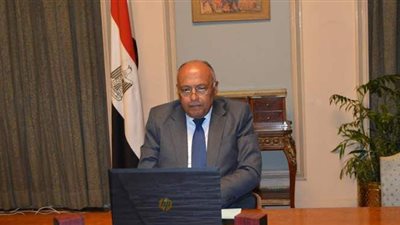 شكري يؤكد دعم مصر لجهود تعزيز التعاون الجنوب جنوب