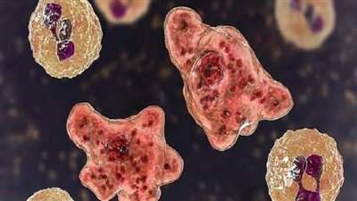 ميكروب خطير يأكل الدماغ يظهر في ولاية أمريكية