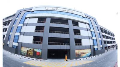 تداول 103 آلاف طن و  2201 حاوية ،و 3792 شاحنة  بميناء الإسكندرية