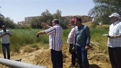 الوادى الجديد تبدأ تحويل 175 ألف فدان من الري بالغمر للنظام الحديث