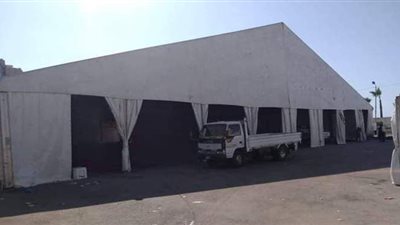 هيئة الكتاب تستعد لمعرض الإسكندرية | صور