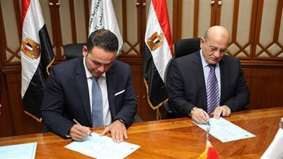 مجلس الدولة