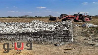 إزالة تعديات مقامة على أراضي الإصلاح الزراعي  بالشرقية