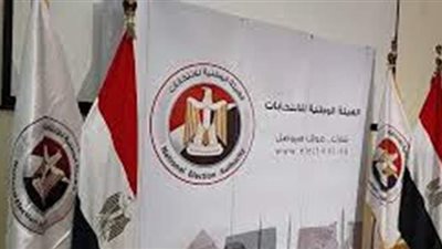 إستبعاد 7 مرشحين واعتماد 191 مرشحاً في إنتخابات النواب بالمنيا