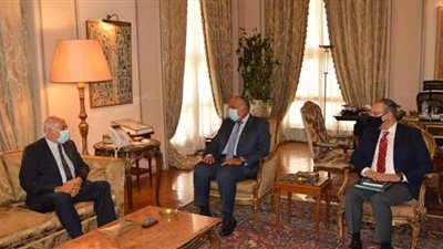 شكري يؤكد موقف مصر الراسخ من القضية الفلسطينية ودعم الحقوق المشروعة للشعب الفلسطيني